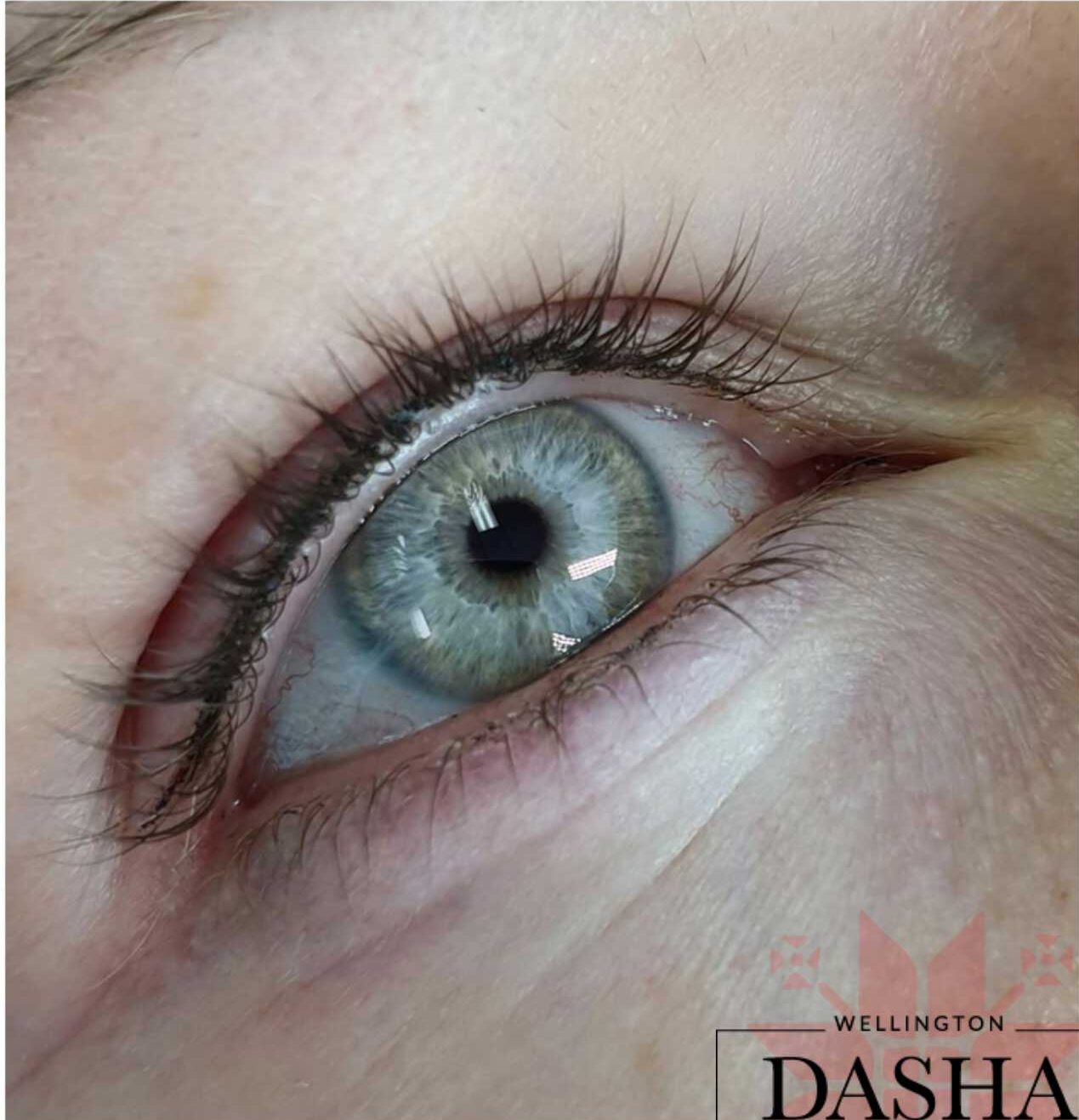 Thin Eyeliner Permanent Makeup. Cosmetic and Mediical Tattoo by Dasha. Permanent makeup and reconstructive tattoo, scalp micro-pigmentation in Christchurch, New Zealand
