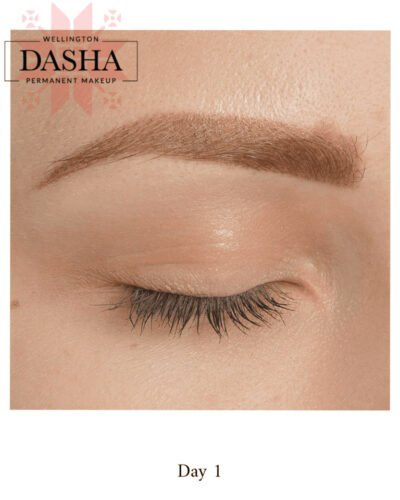 Consultation Eyebrows Cosmetic Tattoo. Cosmetic and Mediical Tattoo by Dasha. Permanent makeup and reconstructive tattoo, scalp micro-pigmentation in Christchurch, New Zealand