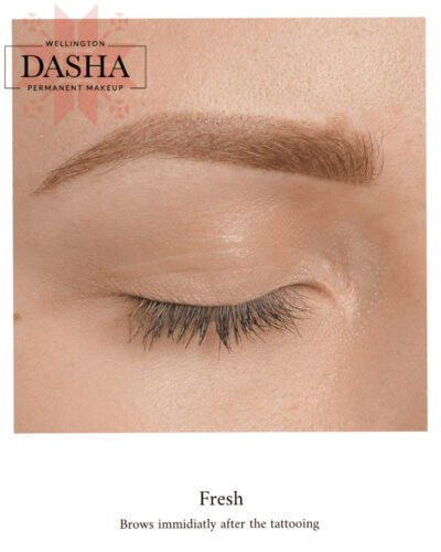 Consultation Eyebrows Cosmetic Tattoo. Cosmetic and Mediical Tattoo by Dasha. Permanent makeup and reconstructive tattoo, scalp micro-pigmentation in Christchurch, New Zealand