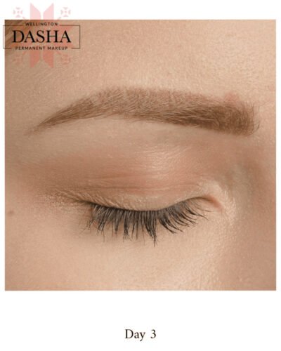 Consultation Eyebrows Cosmetic Tattoo. Cosmetic and Mediical Tattoo by Dasha. Permanent makeup and reconstructive tattoo, scalp micro-pigmentation in Christchurch, New Zealand
