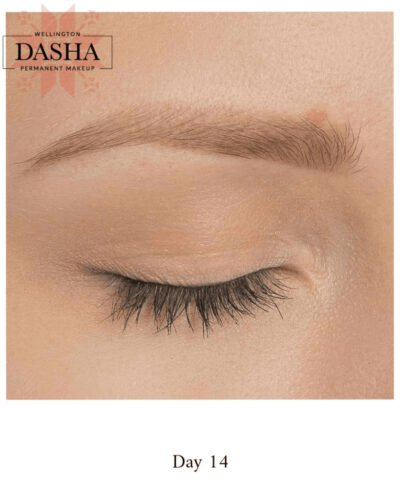 Consultation Eyebrows Cosmetic Tattoo. Cosmetic and Mediical Tattoo by Dasha. Permanent makeup and reconstructive tattoo, scalp micro-pigmentation in Christchurch, New Zealand