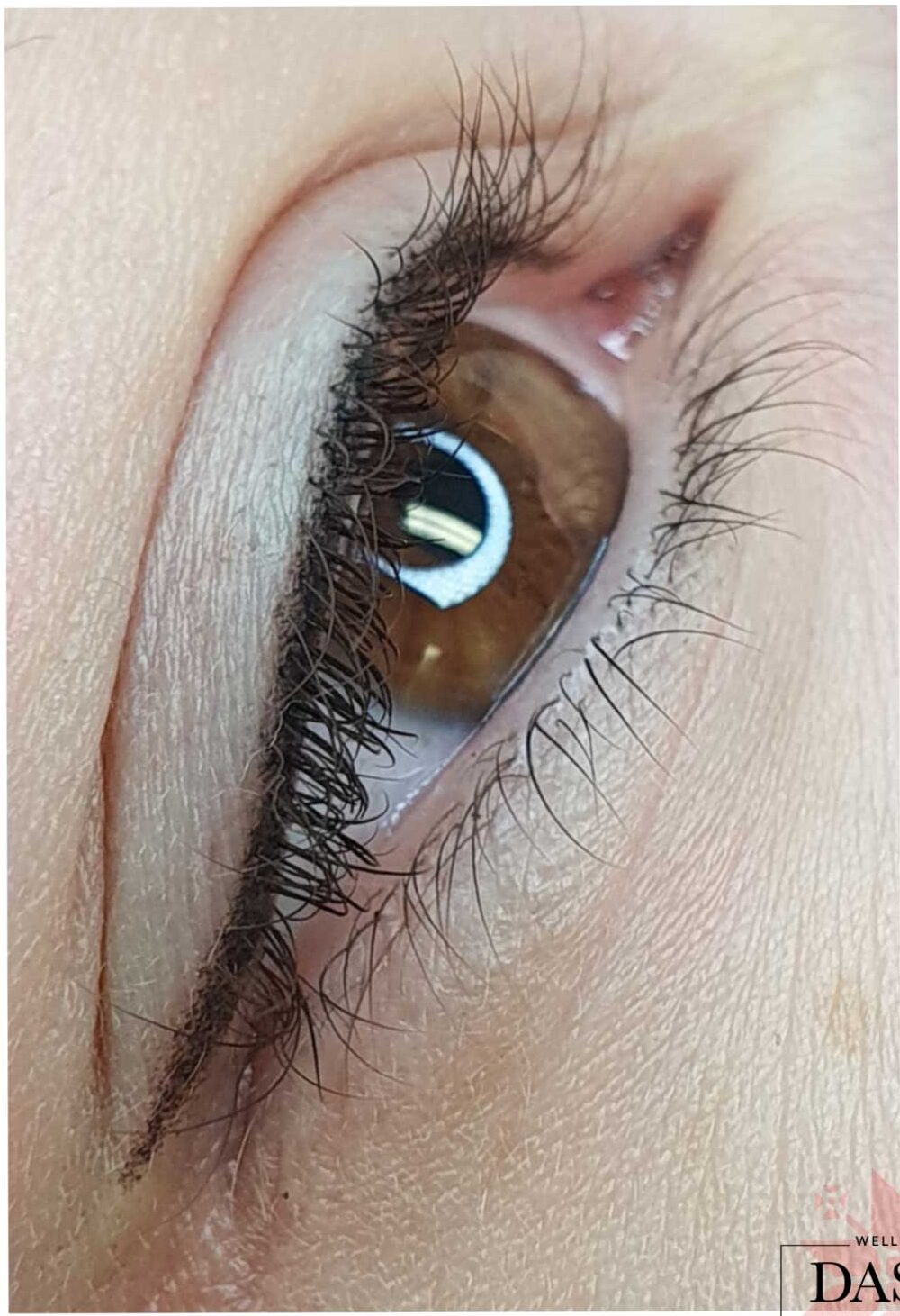 Eyeliner Cosmetic Tattoo. Cosmetic and Mediical Tattoo by Dasha. Permanent makeup and reconstructive tattoo, scalp micro-pigmentation in Christchurch, New Zealand