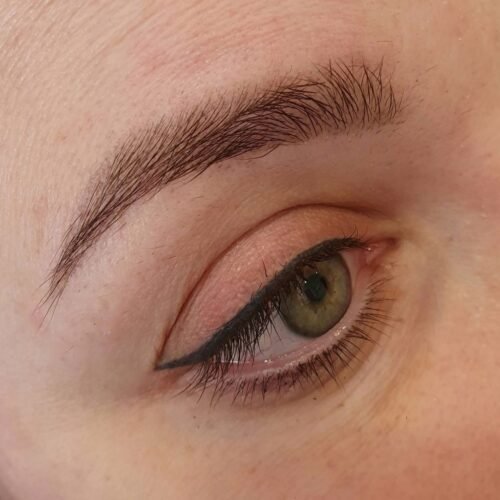 Consultation Eyebrows Cosmetic Tattoo. Cosmetic and Mediical Tattoo by Dasha. Permanent makeup and reconstructive tattoo, scalp micro-pigmentation in Christchurch, New Zealand