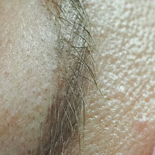 Consultation Eyebrows Cosmetic Tattoo. Cosmetic and Mediical Tattoo by Dasha. Permanent makeup and reconstructive tattoo, scalp micro-pigmentation in Christchurch, New Zealand