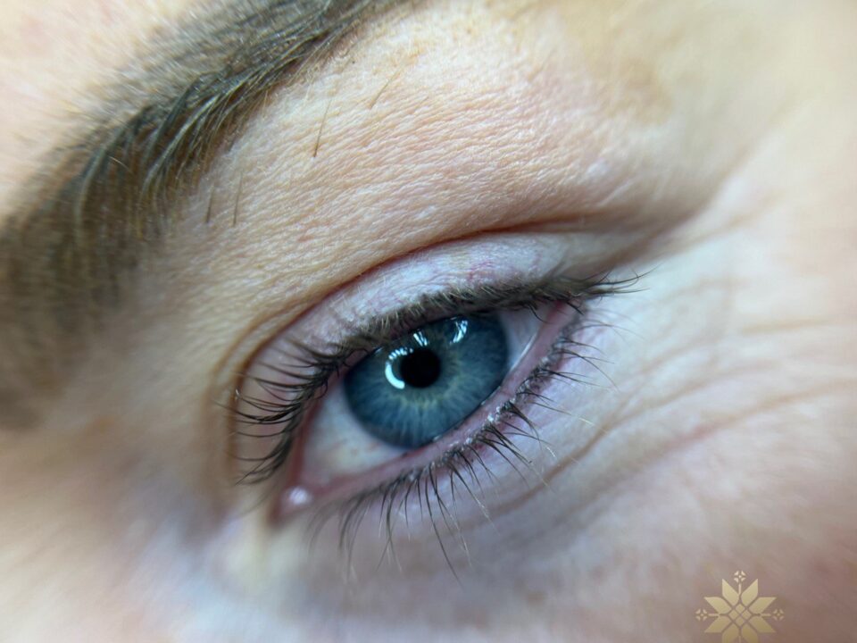 Bottom LashLine Cosmetic Tattoo. Cosmetic and Mediical Tattoo by Dasha. Permanent makeup and reconstructive tattoo, scalp micro-pigmentation in Christchurch, New Zealand