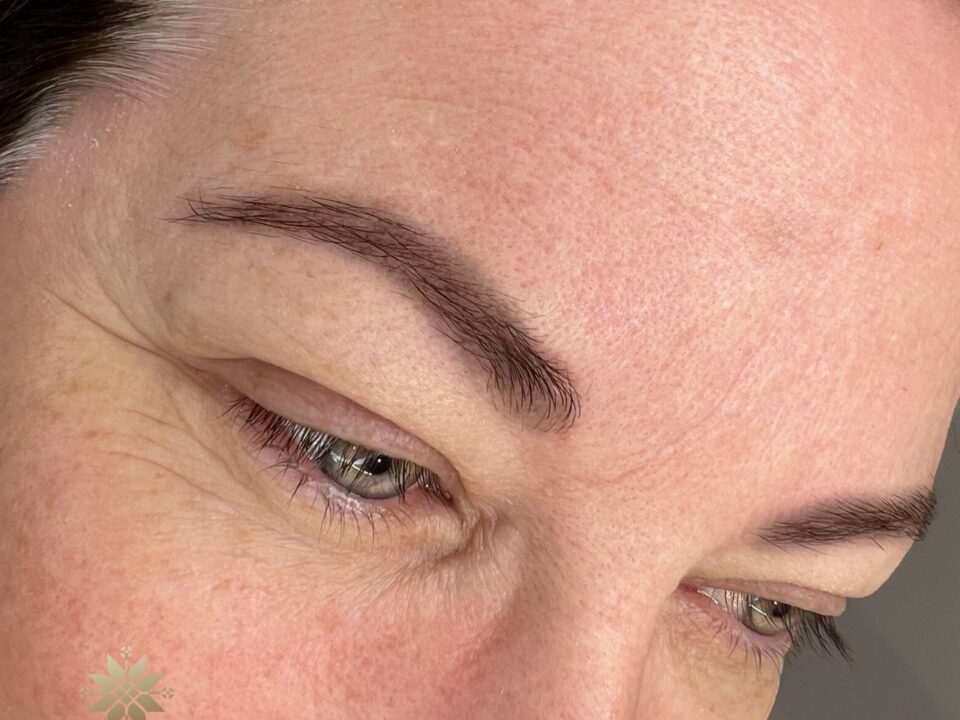 Soft Shading, Brows Cosmetic Tattoo. Cosmetic and Mediical Tattoo by Dasha. Permanent makeup and reconstructive tattoo, scalp micro-pigmentation in Christchurch, New Zealand