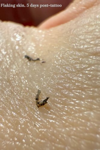 Consultation Eyeliner Cosmetic Tattoo. Cosmetic and Mediical Tattoo by Dasha. Permanent makeup and reconstructive tattoo, scalp micro-pigmentation in Christchurch, New Zealand