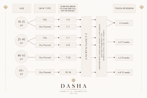 Consultation Brows Cosmetic Tattoo. Cosmetic and Mediical Tattoo by Dasha. Permanent makeup and reconstructive tattoo, scalp micro-pigmentation in Christchurch, New Zealand
